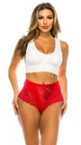 69057 Microfiber High Waist Full Coverage Lace Brief